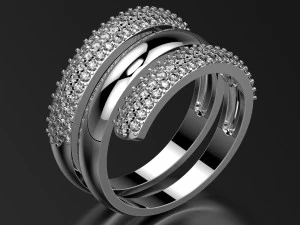 环0013 3D 打印模型