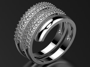 ring0015 3D प्रिंट मॉडल