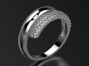 环0017 3D 打印模型