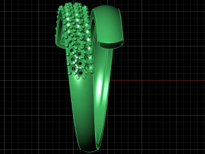 ring0017 3D Druckmodell