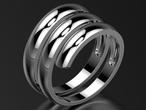 ring0019 3D Принт Модель