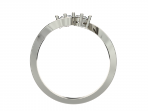 ring0024 3D प्रिंट मॉडल
