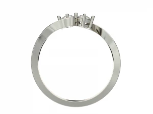 ring0024 3D Print Model