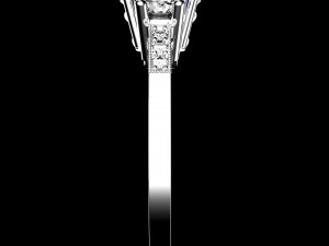 ring0025 3D Druckmodell