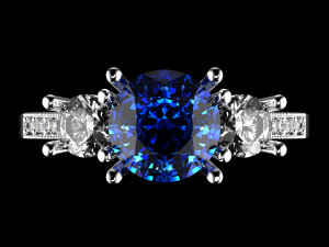 ring0025 3D Druckmodell