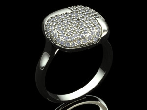 ring0027 3D प्रिंट मॉडल