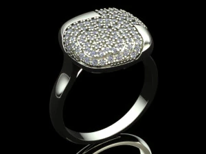 环0027 3D 打印模型