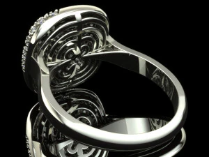 环0027 3D 打印模型