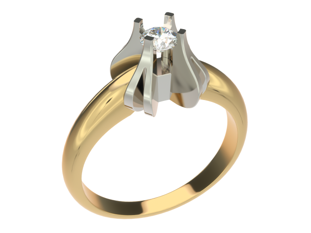 ring0028 3D प्रिंट मॉडल .c4d .max .obj .3ds .fbx .stl .blend 