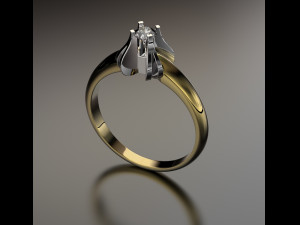 ring0028 3D प्रिंट मॉडल
