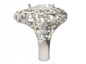 ring0029 3D Print Model