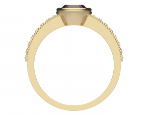 ring0034a 3D प्रिंट मॉडल
