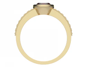 ring0034a 3D Druckmodell