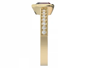 ring0034a 3D Druckmodell