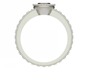 ring0034b 3D Druckmodell