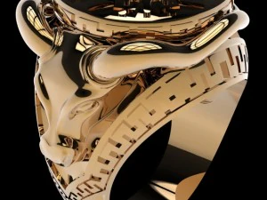 वृषभ वलय 3D मॉडल