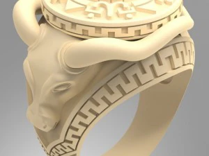 वृषभ वलय 3D मॉडल