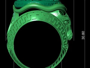 वृषभ वलय 3D मॉडल