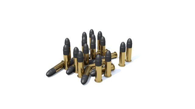low poly 22 lr rounds 3D Model .c4d .max .obj .3ds .fbx .stl .blend 