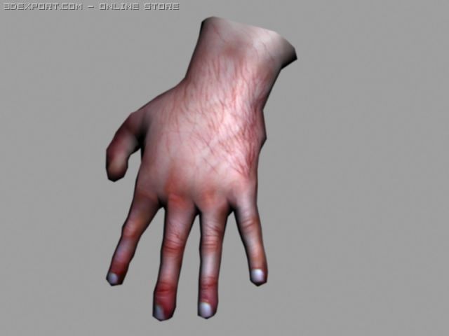 hand 3Dモデル .c4d .max .obj .3ds .fbx .stl .blend 
