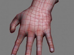 hand 3Dモデル