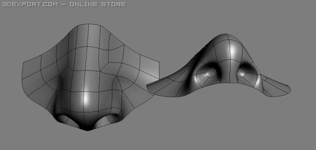 nose 3D Model .c4d .max .obj .3ds .fbx .stl .blend 