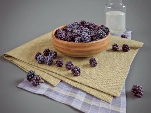 Brombeere 3D Modell