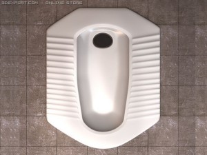 asian toilet 3D Model