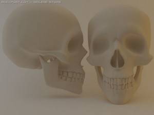 skull 3Dモデル