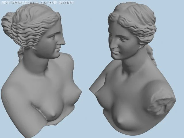 venus bust 3D Model .c4d .max .obj .3ds .fbx .stl .blend 