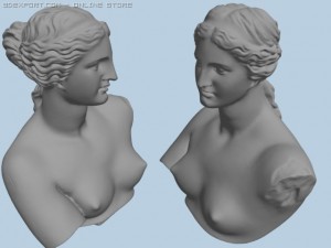 venus bust 3Dモデル