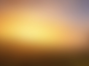 15 blurred backgrounds CG 텍스쳐