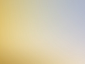 15 blurred backgrounds CG 텍스쳐