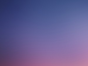 15 blurred backgrounds CG 텍스쳐