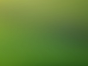 15 blurred backgrounds CG 텍스쳐
