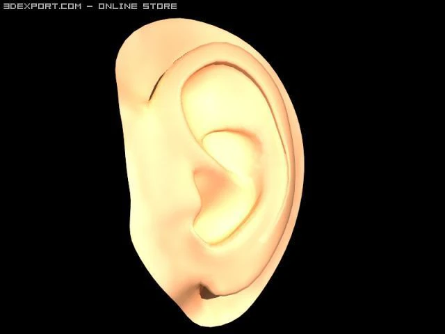 earmodel 3D Model .c4d .max .obj .3ds .fbx .stl .blend