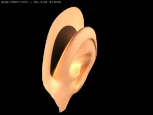 earmodel 3D Model