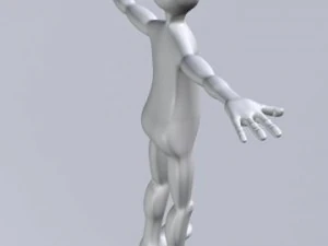 norris 4 3D Model