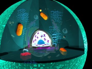 animal cell 3D Модель