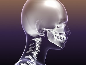 skeleton of female in woman body anatomy Model 3D
