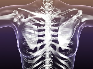 skeleton of female in woman body anatomy Model 3D