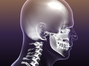 human skeleton in male body 3D Model