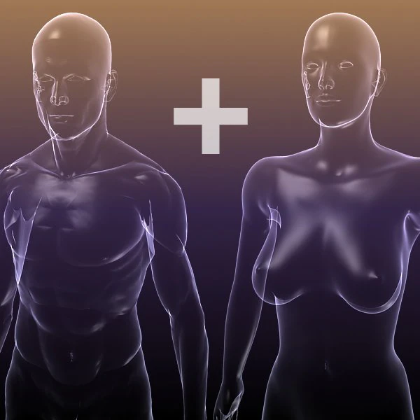 male and female anatomy - transparent bodies 3D Model .c4d .max .obj .3ds .fbx .stl .blend 
