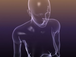 male and female anatomy - transparent bodies 3D Model