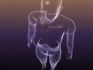 male and female anatomy - transparent bodies 3D Model