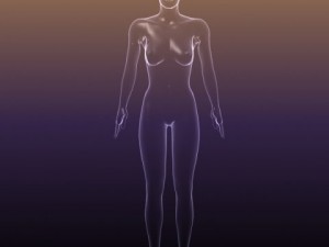 male and female anatomy - transparent bodies 3D Model