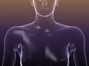 male and female anatomy - transparent bodies 3D Model