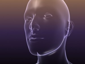 male and female anatomy - transparent bodies 3D Model