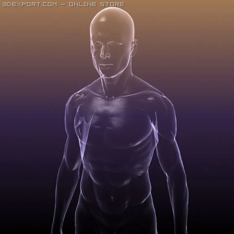 human body  silhouette of a male 3D Model .c4d .max .obj .3ds .fbx .stl .blend 