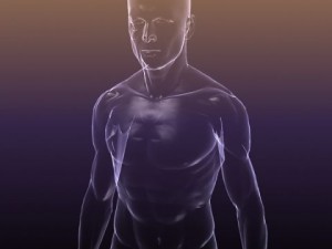 human body  silhouette of a male 3Dモデル